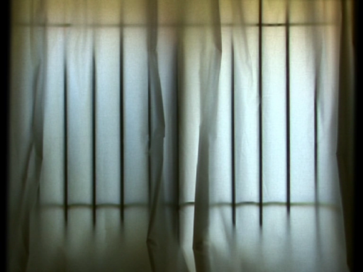 THE CURTAIN (2007)