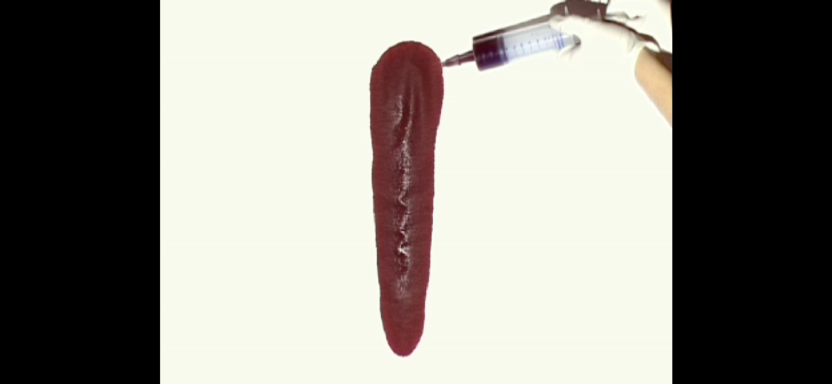 TEST SIGNAL (2005)